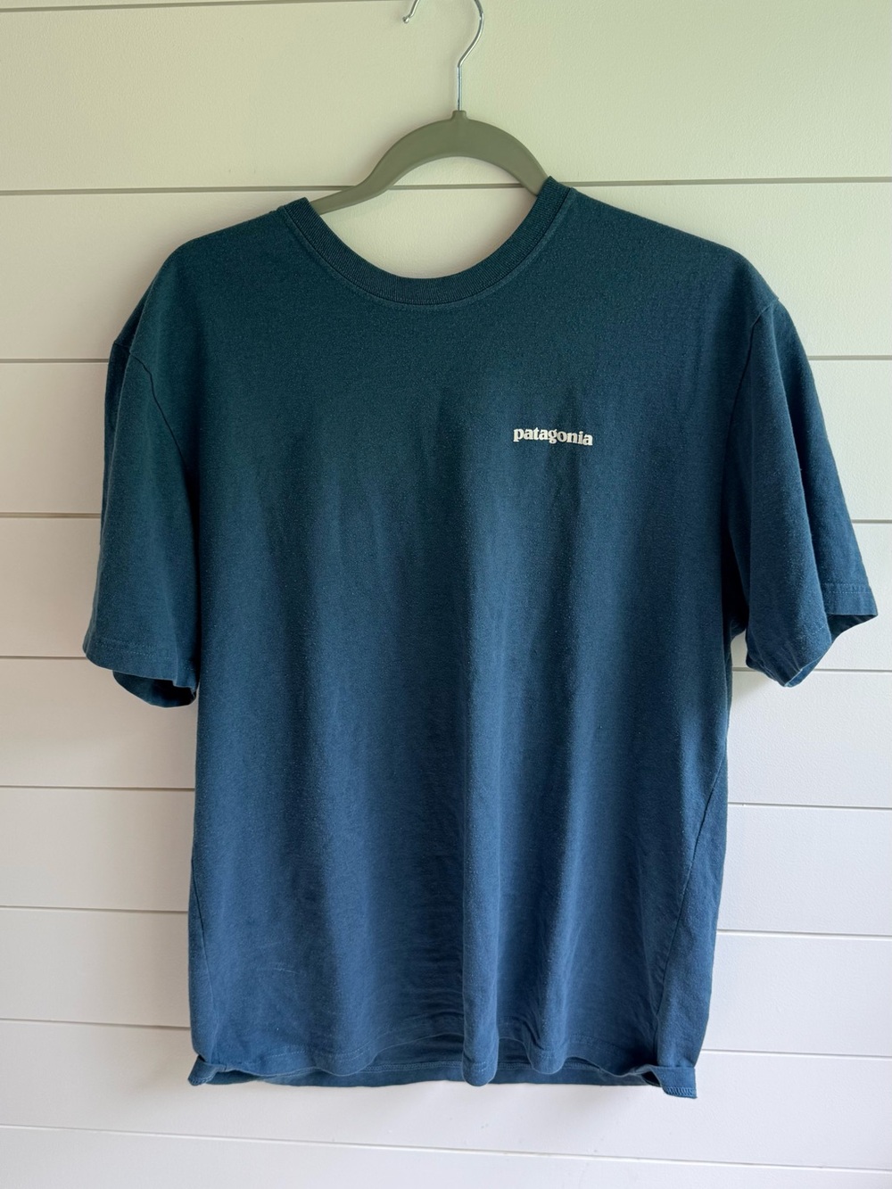 Patagonia tee med